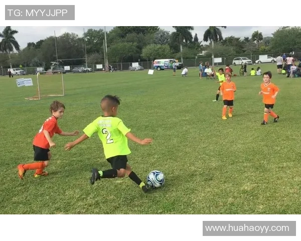 模仿美国足球明星的技巧与训练方法探讨